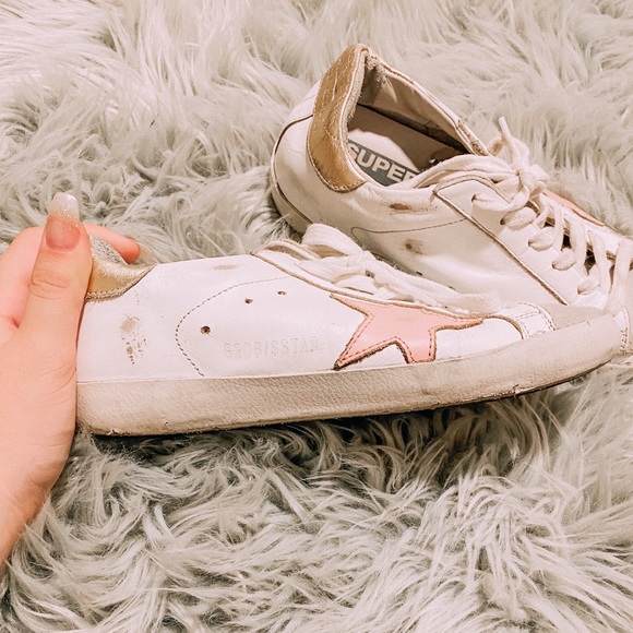 pink and gold golden goose